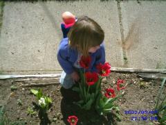 Sunday May 05, 2002 22:50 - sierra, grandma and papa 003.jpg